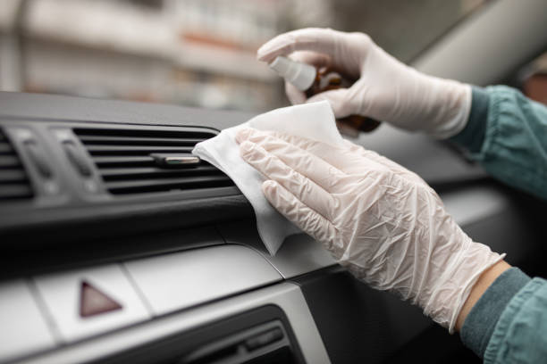 Best Air Duct Mold Removal  in Huntertown, IN