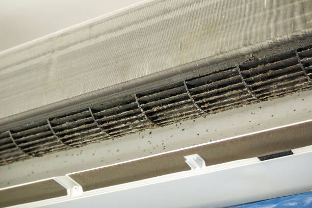Best Ductwork Cleaning Services  in Huntertown, IN